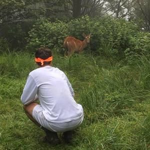 Meet your Posher, Elliott